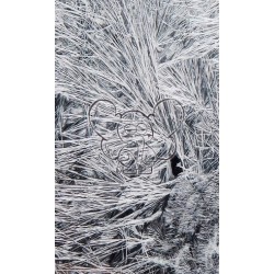 SZRON W SPRAYU LÓD SZTUCZNY NA OKNO ( NIE ŚNIEG )